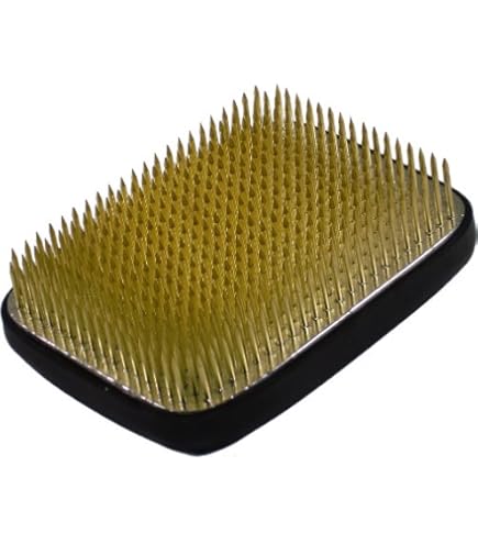 Amazon | 自然 剣山 角 特大 | 剣山