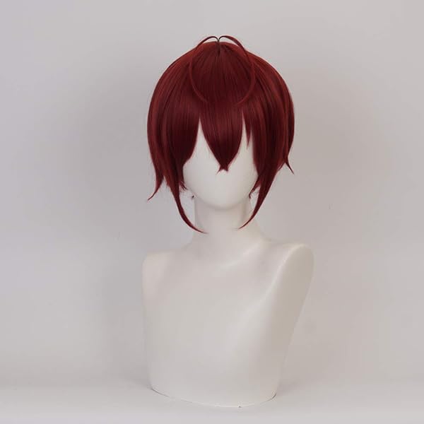Amazon.co.jp: sakuracos ツイステ エペル コスプレウィッグ