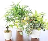 山久 グリーンミニポットオリヅルラン含む3点セット　A 1704-9939a【CT触媒加工】【人工観葉植物】【造花】