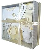 Baby Gift Set with Bodysuit, Bib, Toy, Socks in a Gift Box - Size 0-3 Months. Lemon Giraffe by Kris 