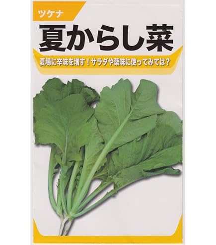 Amazon | 実咲野菜 ツケナ 中国からし菜 セリフォン 小袋002999 | 野菜