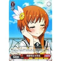 Amazon Co Jp 売れ筋ランキング ニセコイ の中で最も人気のある商品です