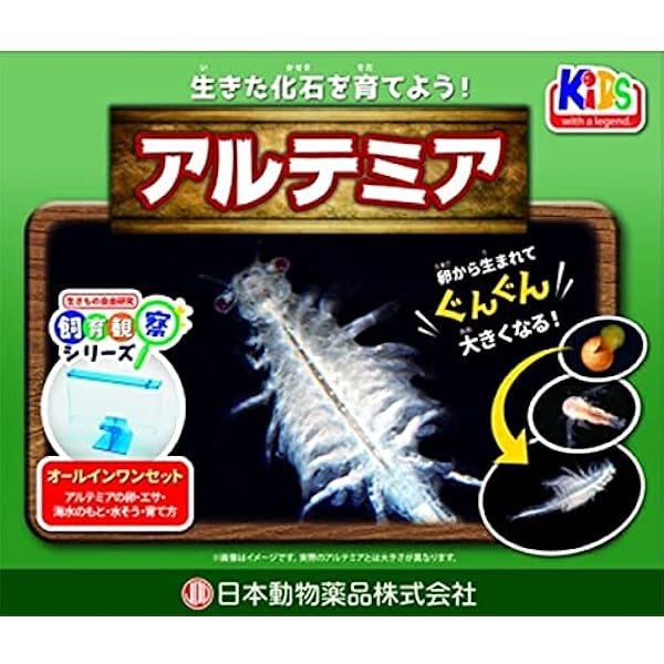 Amazon ニチドウ アルテミアの卵セット ニチドウ 飼育セット 通販