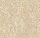 Forbo Marmoleum Realシートフローリング5平方ヤードto beカットの6 ' 5 " Wide Roll – からiDecor。(チェックサイズのイメージ) – Sand 2499