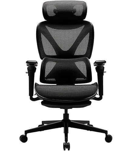 Amazon.co.jp: COFO Chair Premium : Office Products