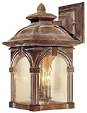 Vaxcel Vaxcel OW38793RBZ Essex 9" Outdoor Wall Light, Royal Bronze by Vaxcel [並行輸入品]