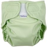 Gerber All-in-One Reusable Diaper with Insert Starter Set, Sage, Large by Gerber [並行輸入品]