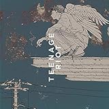 Flamingo/TEENAGE RIOT(�e�B�[���G�C�W��/�������)
