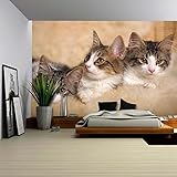wall26 – 自己粘着壁紙大壁壁画シリーズ 100"x144" WMR-WP-X-C422-100x24x6