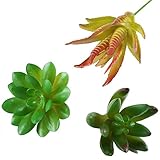 hogado 3セット人工多肉植物サボテンEcheveria植物Unpottedホームキッチンオフィスデスクポット庭の壁DIY装飾ウェディング