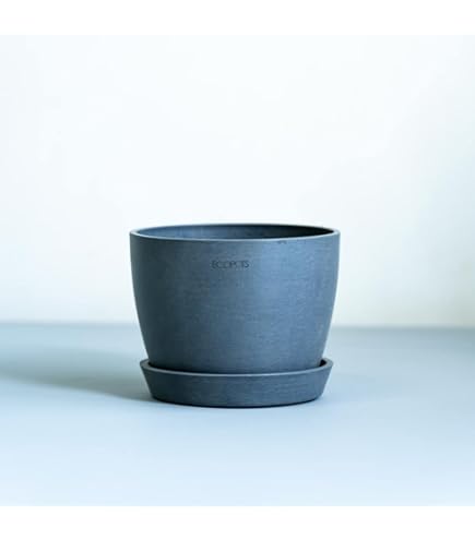 Amazon.co.jp: GOUJIN BOTANIZE 豪人窯 ボタナイズ 植木鉢 陶器 : DIY