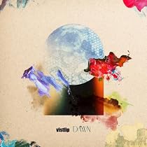 vistlip CD 29枚セット まとめ売り Amazon.co.jp: DAWN ＜lipper＞: ミュージック