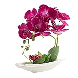 PhaleanopsisオーキッドシルクFlower Arrangement withホワイト花瓶装飾 レッド AX-AY-ABHI-123175