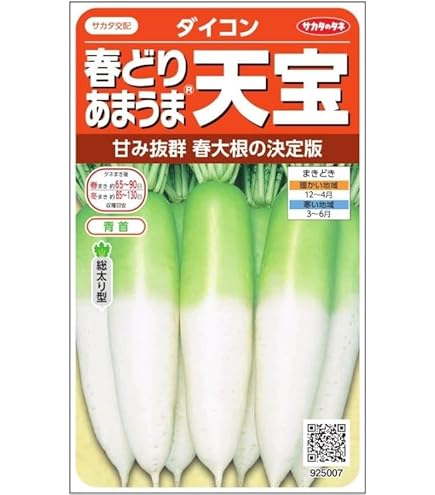 Amazon | 実咲野菜 ダイコン 冬どり年越し大根 冬みねセブン 小袋