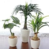 山久 グリーンミニポット パームツリー含む3点セット 1808-2101 【CT触媒加工】【人工観葉植物】【造花】