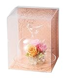 Paseo クリアケース入り プリザーブドフラワー フローリードーム ピンク 13.5×13.5×H16.5cm S-19PK