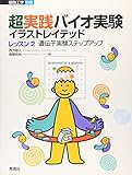 超実践バイオ実験イラストレイテッド〈レッスン2〉遺伝子実験ステップアップ (細胞工学別冊)