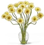 Nearly Natural 1086-CR Gerber Daisy Liquid Illusion Silk Flower Arrangement, Cream by Nearly Natural