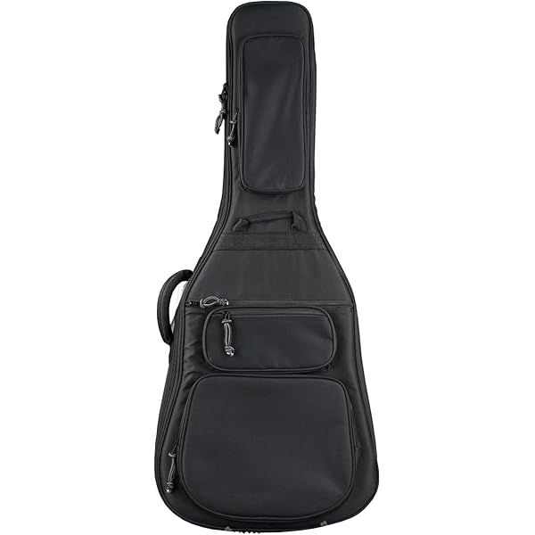 Amazon.co.jp: RITTER RGB4‑SA SBL BERN Semi Acoustic(335