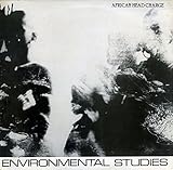 Environmental Studies [12 inch Analog]