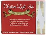 Everglow 2980-22 100 Clear White Wire Light Set [並行輸入品]