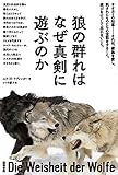 狼の群れはなぜ真剣に遊ぶのか