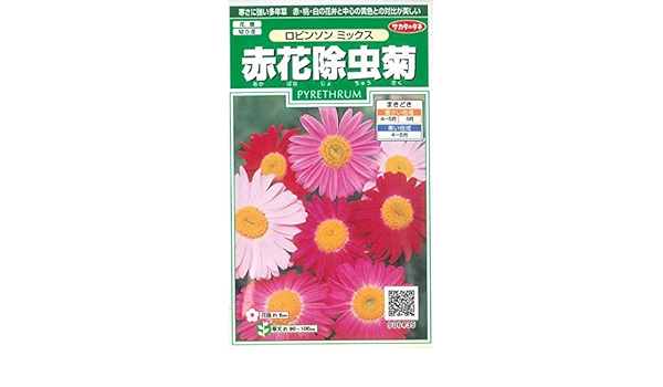 Amazon サカタのタネ 花の種 赤花除虫菊 ロビンソンミックス 小袋 花