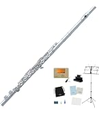 Amazon.co.jp: Pearl Flute パール フルート Quantz クヴァンツ