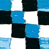 BLUE FLASH PHOTON WAVES(CD＋DV