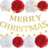 クリスマス メリークリスマス 飾り セット MERRY CHRISTMAS ガーランド ペーパーポンポン 3点セット