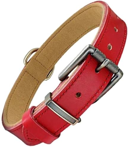 Amazon | ペティオ (Petio) 首輪 グランデ ダブルステッチカラー