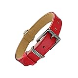 Beanspet 犬首輪 ベーシック ベルトタイプ 厚め本革 犬 首輪 レザー 定番 くびわ (M, レッド)