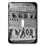 Scenes from the Pastマジックランタンスライド – コーニスからのローマフォーラムヴィンテージ古代AntiquitiesアートStudies – 照明スイッチカバー – シングルトグ