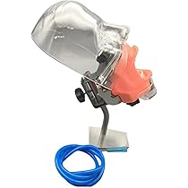 Amazon.co.jp: xixinxing 歯の模型 歯科用ファントムヘッド