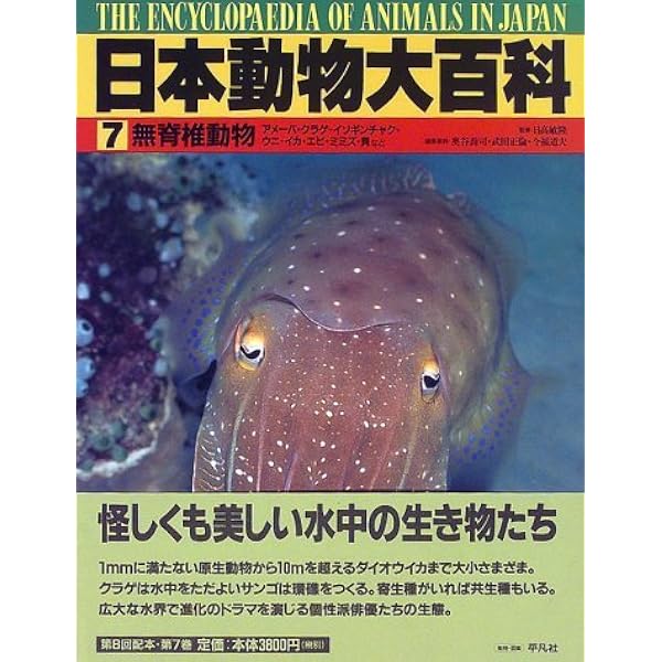 日本動物大百科 全10巻セット　帯付き 日本動物大百科 (第10巻) | 石井 実 |本 | 通販 | Amazon