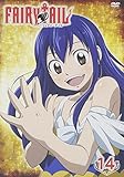 FAIRY TAIL 14
