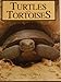 Turtles and Tortoises