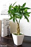 イミテーショングリーン パキラ （人工観葉植物 フェイクグリーン 光触媒加工 造花）