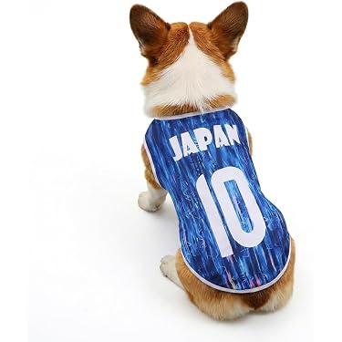 Amazon.co.jp 最新リリース: 犬用服・アクセサリ の新着ランキングです。