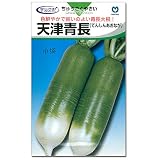 [野菜タネ]大根・天津青長（てんしんあおなが） 2袋セット ノーブランド品