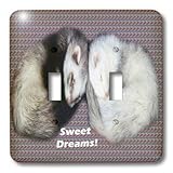 3dRose LLC lsp_17286_2 Sleeping Ferrets Double Toggle Switch by 3D Rose (Home Improvement) [並行輸入品]