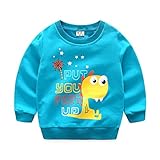 2-7歳　子供服　スウェット　男の子　sweat 長袖　恐竜柄　上着　ボーイズ　Uネック　熊猫柄　ブラウス　ラウンドネック　カジュアル　普段着　イエロー　ブルー 身長90-130cm