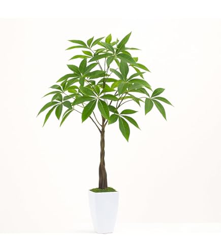 Amazon｜光の楽園 フェイクグリーン 造花 ナチュラルパキラ1.8m