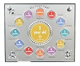Concepts Baby My First Year Metal Picture Frame With 12 Oval Picture Slots by Concepts