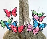 バタフライフローラルPicks with Feather Wings – セットの12カラフルな人工Butterflies onメタルワイヤPlant Stake Stems – ウェディングデコレー