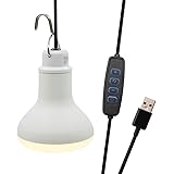 USB電球 高辉度 8W ポータブル電源ライト USBライトLED 吊り下げ 9段調光 3段階調色 電球色 昼白色 昼光色 USB给電 記憶機能付き 車中泊ライト/テント照明/キャンプライト/停電対策/撮影ライト/BBQ/お釣り/読書照明