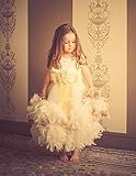 【ベビー＆こどものラグジュアリードレス】サテンローズトップ＆2層フェザーのガウンドレス☆【An Enchanted Heirloom】2歳から8歳　オーラ―漂う海外の洗練されたベビードレス。写真撮影す