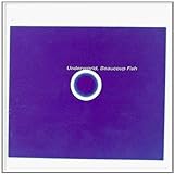 �{�N�[�E�t�B�b�V��