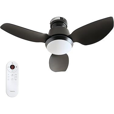 Amazon.co.jp 売れ筋ランキング: シーリングファン の中で最も人気の