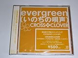 evergreen(���̂��̉S��)